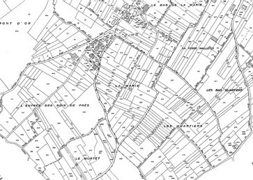 Champagne - Plan cadastre-vignes- Cormicy